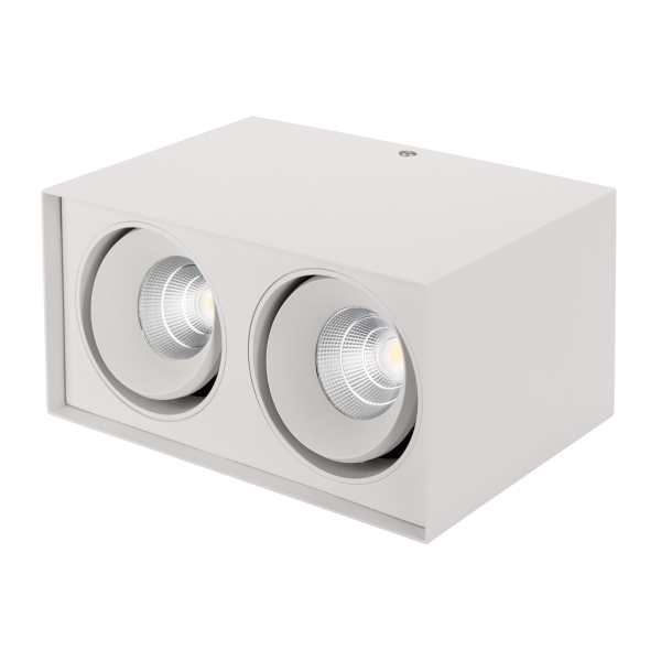 Светильник SP-CUBUS-S100x200WH-2x11W Day White 40deg (ARL, IP20 Металл, 3 года)