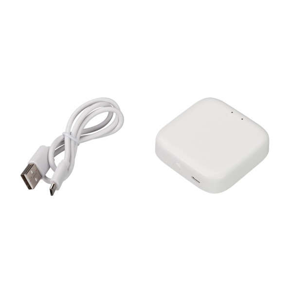 INTELLIGENT ARLIGHT Конвертер TY-804-BT-SUF (5V, WI-FI, BLE) (IARL, Пластик)