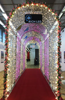 Светодиодный туннель Rich LED, 2*4 м, L=2 м, мерцающий, розовый