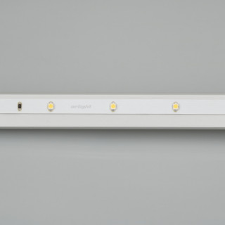 Светодиодная лента RT 2-5000 24V Cool 8K 0.5x (3528, 150 LED, LUX) (ARL, 2.9 Вт/м, IP20)